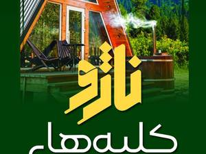 شرکت ساختمانی ناژو