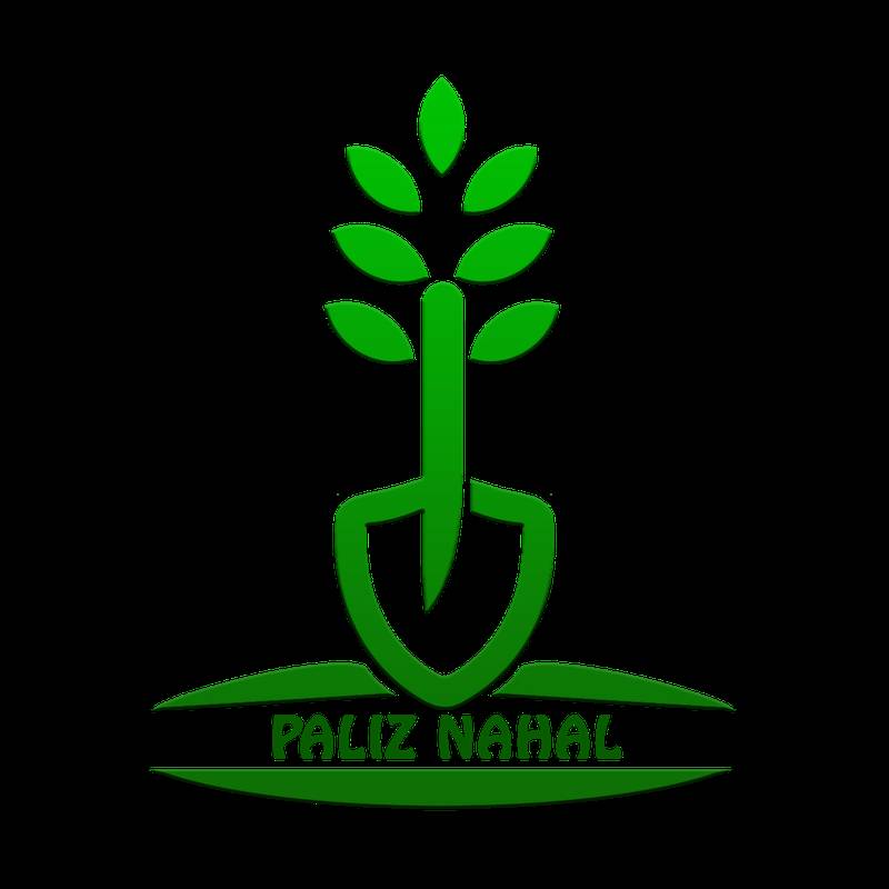 پالیز نهال