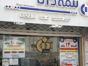 بیمه دانا کد11065