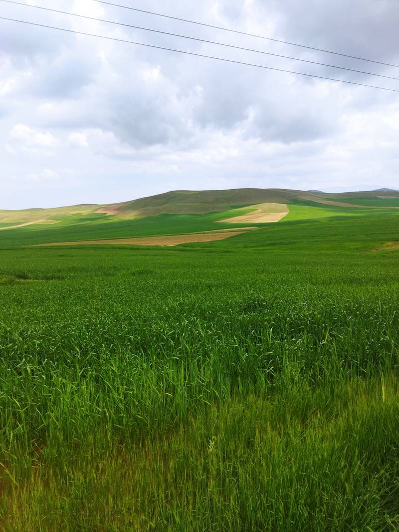 آقا جواتی 