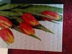 نوین نقش در تهران