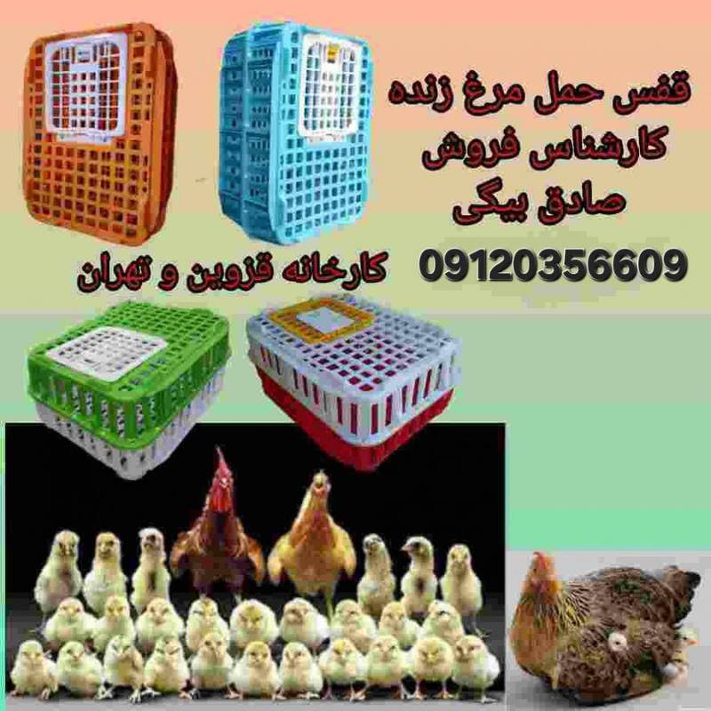 شرکت شایان اعتماد نگین دشتابی در قزوین