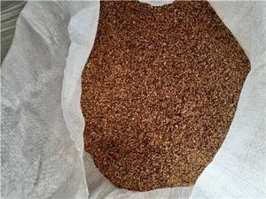 اریا اذر کاوه در آذرشهر