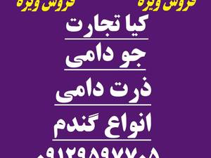 تعاونی دام سبک خاتون در تهران