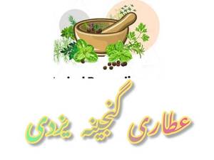 عطاری گنجینه یزدی در تهران