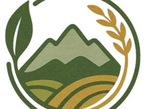 فروشگاه اینترنتی گیل شا در کلاچای