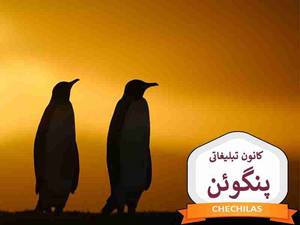 کانون تبلیغاتی پنگوئن