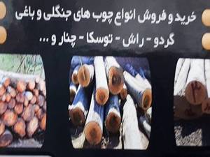خرید و فروش انواع چوبهای الوارباغی و جنگلی محمودی