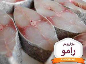 مرکز فروش ماهی رامو
