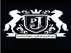 مزرعه پرورش اسب جهاندیده