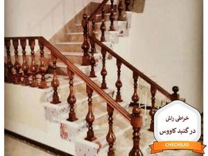 خراطی راش در گنبد کاووس