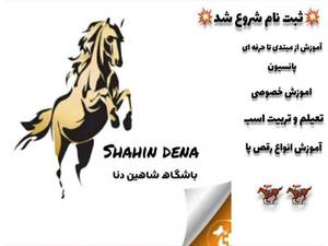 باشگاه سوارکاری شاهین دنا در جنوب کشور