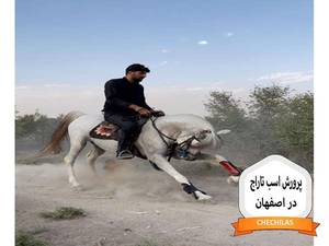 پرورش اسب تاراج در اصفهان