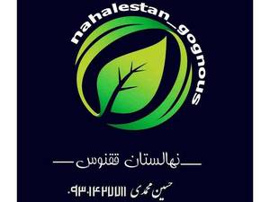 نهالستان ققنوس در میاندوآب