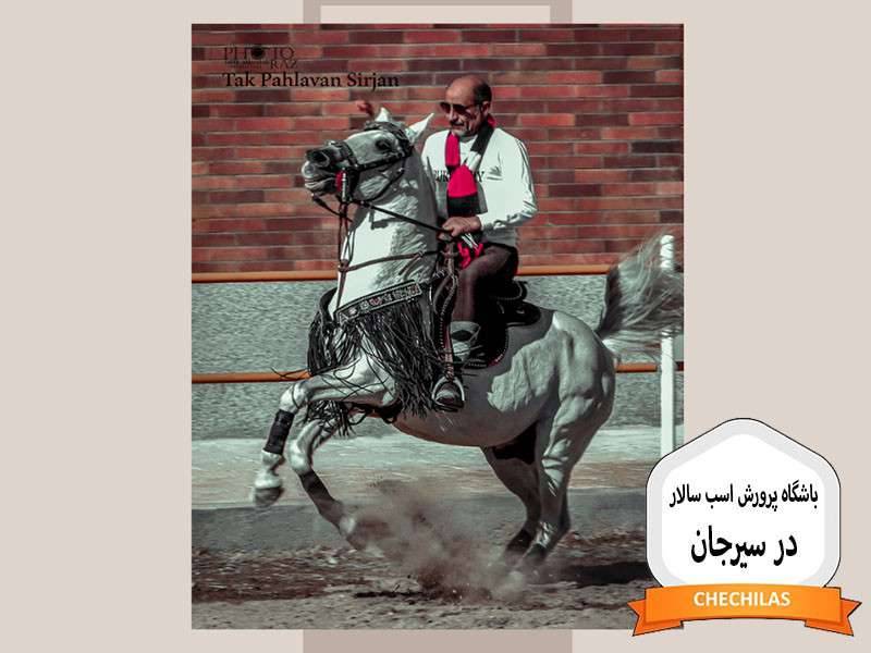 باشگاه پرورش اسب سالار در سیرجان
