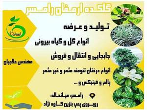 گلکده ارمغان رامسر