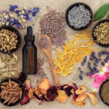 طب سنتی و گیاهان دارویی