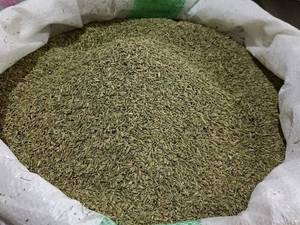 تولید کننده گیاهان دارویی در همدان 