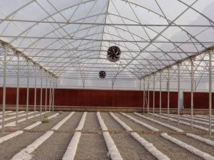 ساخت انواع گلخانه های ایرانی و خارجی