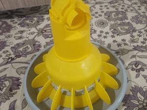 دانخوری بشقابی 