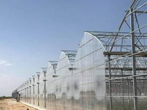 گلخانه اسپانیایی ارتفاع ۸متر 