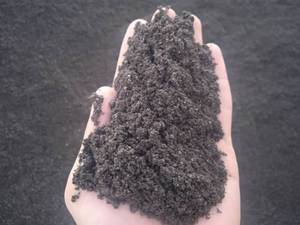 پوکه ماسه ای