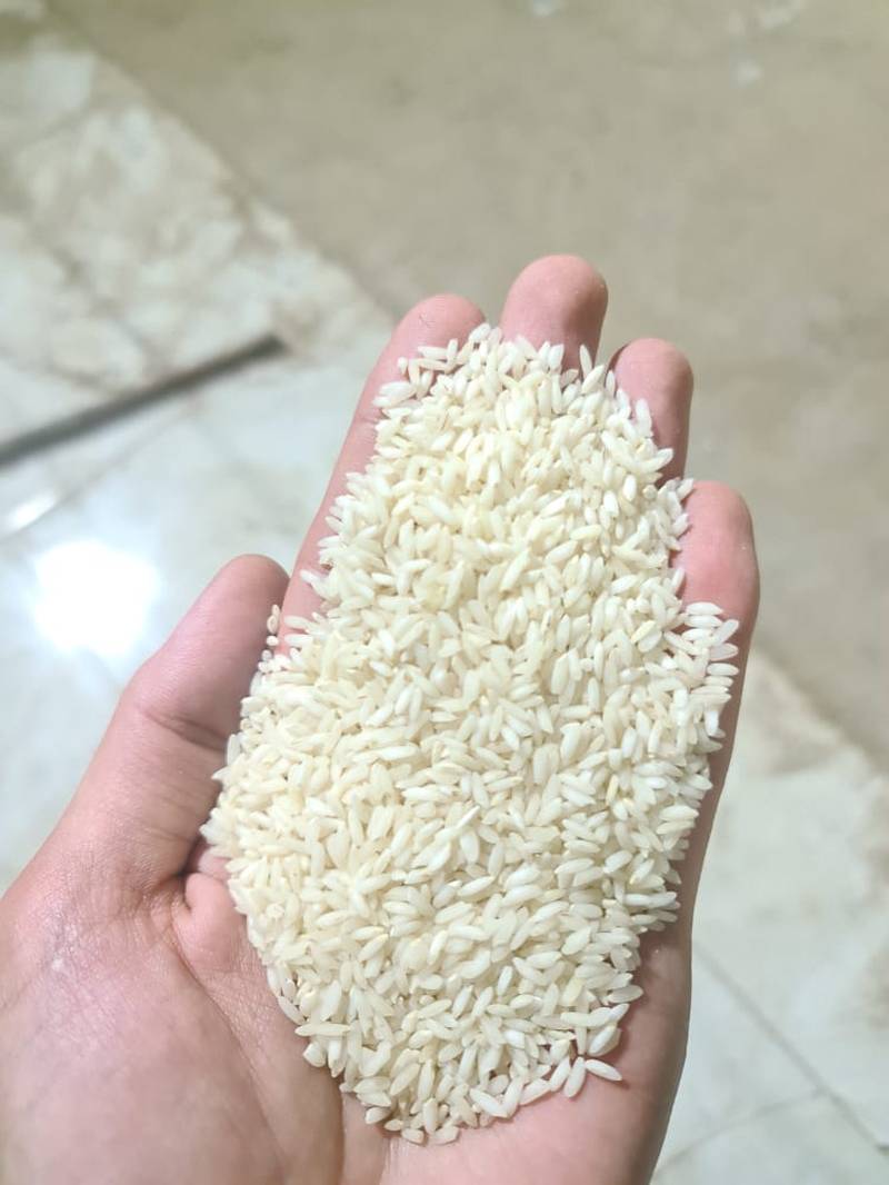 برنج اعلا عنبربو