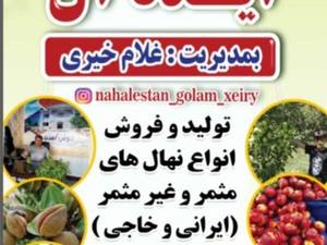 تولید فروش نهال مثمر غیر مثمر(ایرانی خارجی)