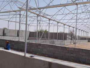 سازنده انواع گلخانه جوشی اسپانیایی