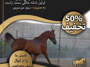 باشگاه سوارکاری یاقوت سیدموسوی