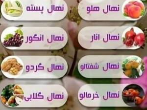 عرضه و تولید کننده انواع نهال میوه