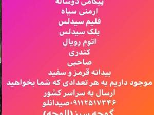 عرضه انواع ارقام نهال