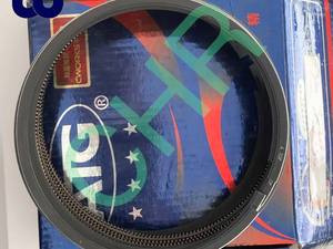 رینگ موتور لودر چینی WD615