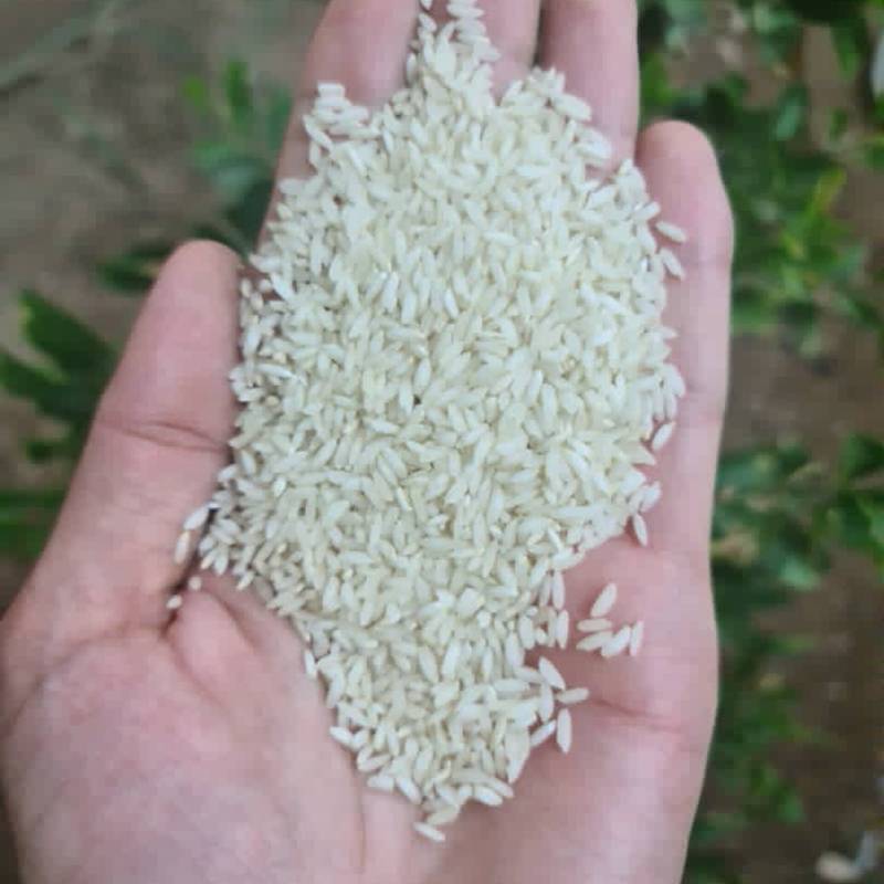 برنج معطر خوزستان