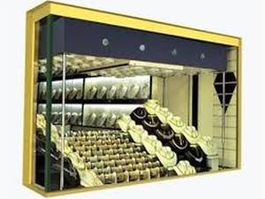 گاو صندوق ویترینی