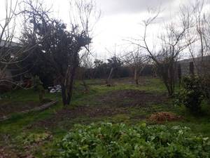 زمین مسکونی آماده ساخت