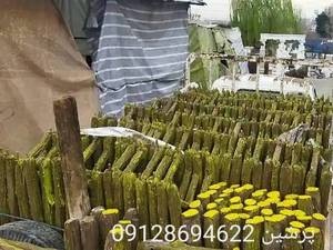 نرده پارک و باغچه