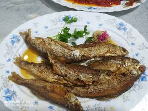  رستوران ماهی انزلی