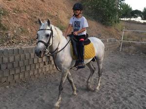 آموزش سوارکاری از مبتدی تا حرفه ای در دماوند