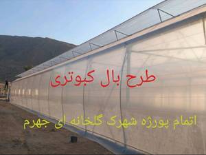 ساخت گلخانه صفر تا صد درجهرم فارس