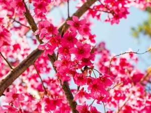 کلینیک ساختمانی آی پارا