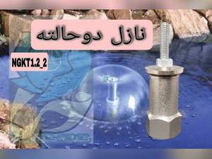  نازل قارچی کوتاه دوحالته در لرستان