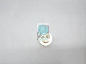 نازل کمیت آبکاری کروم روپیچ در مرکزی