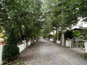 خرید ویلا جنگلی در نور