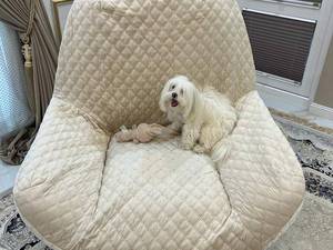 تولیدی کاور مبل در گیلان 