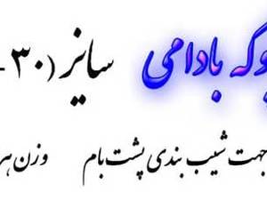 پوکه بادامی سایز 10 در 30