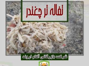 قیمت و سفارش تفاله تر آبدار چغندر قند