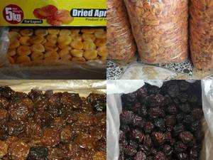 پخش انواع آلو آلبالو زغال اخته در قزوین