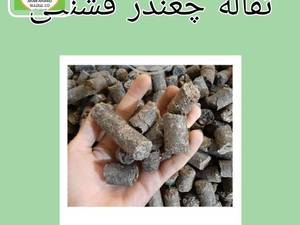 تفاله ی چغندر تر بسته بندی شده