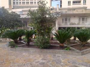 طراحی و اجرای فضا سبز شرکت ها در رشت و گیلان